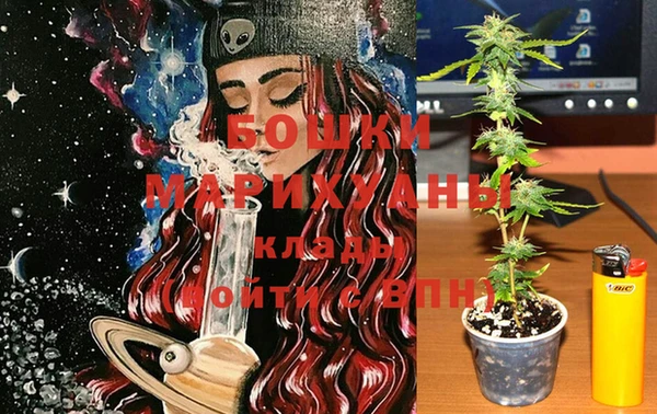 ГАЛЛЮЦИНОГЕННЫЕ ГРИБЫ Нея