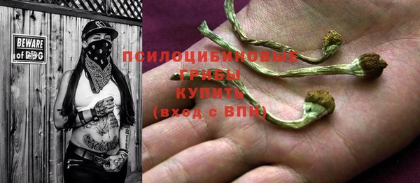 ГАЛЛЮЦИНОГЕННЫЕ ГРИБЫ Нея