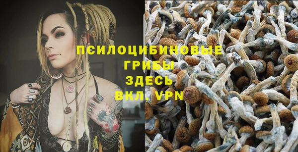 ГАЛЛЮЦИНОГЕННЫЕ ГРИБЫ Нея