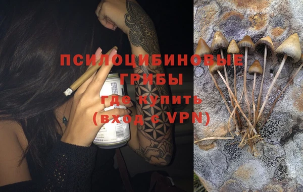 тгк Нефтекумск